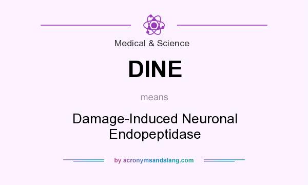 What does DINE mean? It stands for Damage-Induced Neuronal Endopeptidase