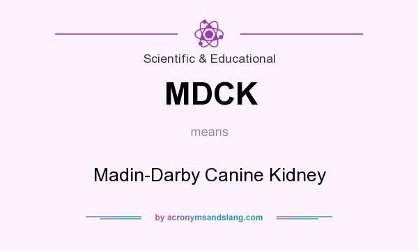 What does MDCK mean? It stands for Madin-Darby Canine Kidney
