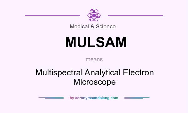 What does MULSAM mean? It stands for Multispectral Analytical Electron Microscope