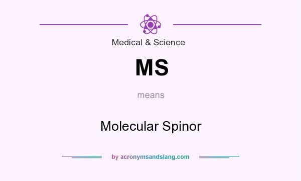 What does MS mean? It stands for Molecular Spinor