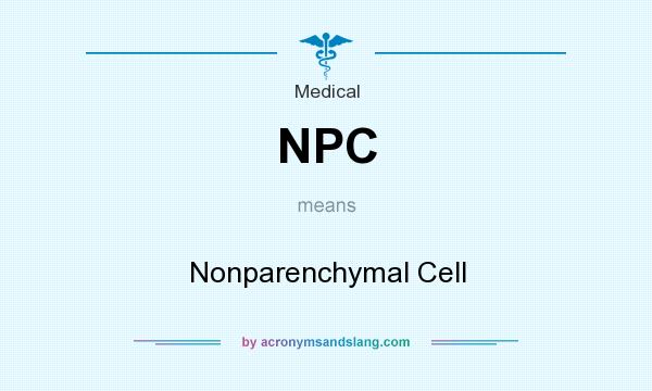 What does NPC mean? It stands for Nonparenchymal Cell