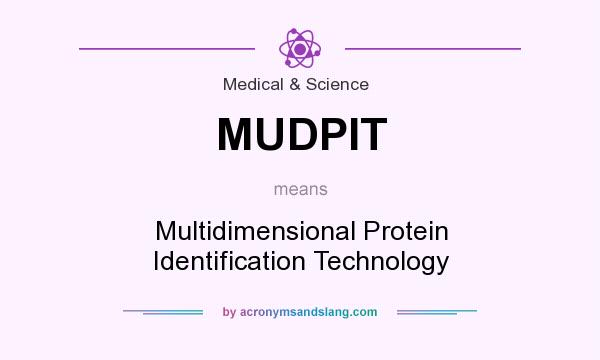 What does MUDPIT mean? It stands for Multidimensional Protein Identification Technology