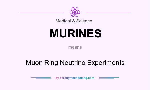 What does MURINES mean? It stands for Muon Ring Neutrino Experiments
