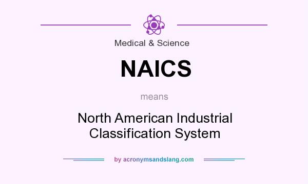 What does NAICS mean? It stands for North American Industrial Classification System