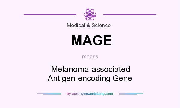 What does MAGE mean? It stands for Melanoma-associated Antigen-encoding Gene