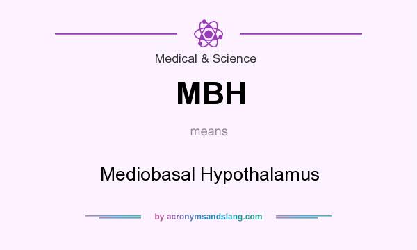 What does MBH mean? It stands for Mediobasal Hypothalamus