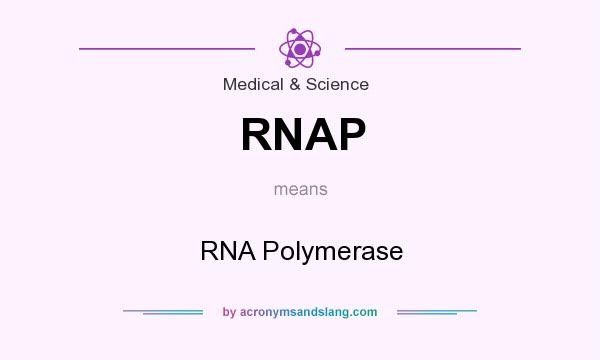 What does RNAP mean? It stands for RNA Polymerase