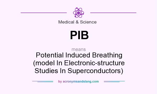 What does PIB mean? It stands for Potential Induced Breathing (model In Electronic-structure Studies In Superconductors)