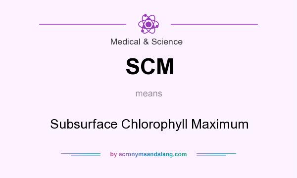 What does SCM mean? It stands for Subsurface Chlorophyll Maximum