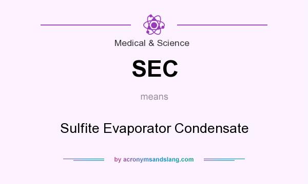 What does SEC mean? It stands for Sulfite Evaporator Condensate