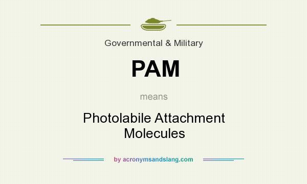 What does PAM mean? It stands for Photolabile Attachment Molecules