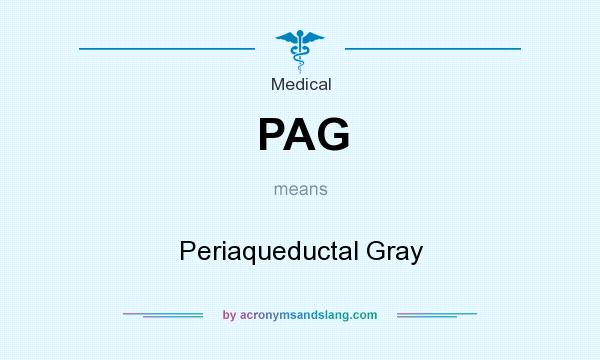 What does PAG mean? It stands for Periaqueductal Gray