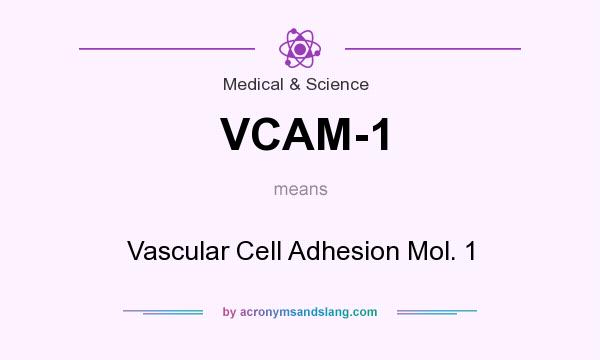 What does VCAM-1 mean? It stands for Vascular Cell Adhesion Mol. 1