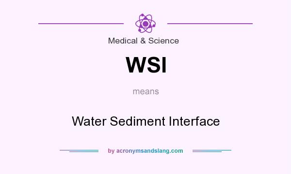 What does WSI mean? It stands for Water Sediment Interface