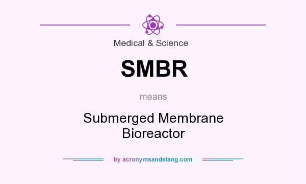 What does SMBR mean? It stands for Submerged Membrane Bioreactor