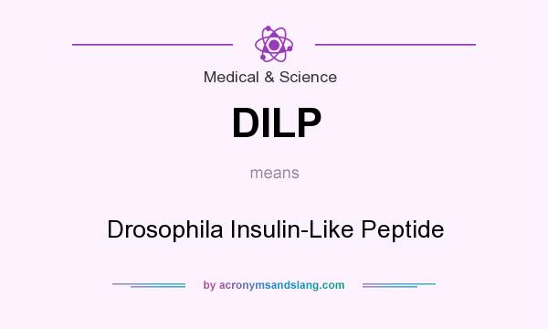 What does DILP mean? It stands for Drosophila Insulin-Like Peptide