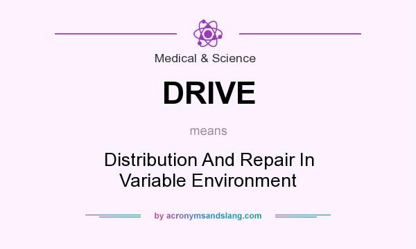 What does DRIVE mean? It stands for Distribution And Repair In Variable Environment