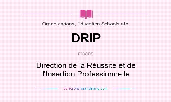 What does DRIP mean? It stands for Direction de la Réussite et de l`Insertion Professionnelle