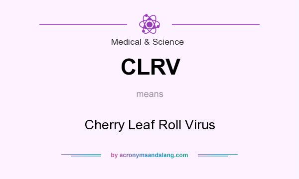 What does CLRV mean? It stands for Cherry Leaf Roll Virus