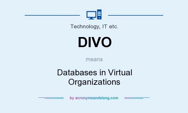 What does DIVO mean? It stands for Databases in Virtual Organizations