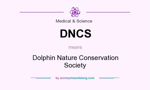 What does DNCS mean? It stands for Dolphin Nature Conservation Society