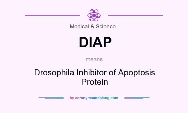 What does DIAP mean? It stands for Drosophila Inhibitor of Apoptosis Protein