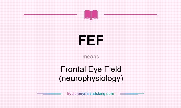 What does FEF mean? It stands for Frontal Eye Field (neurophysiology)