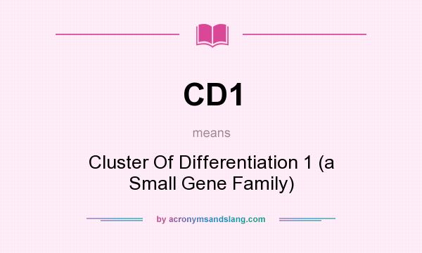 What does CD1 mean? It stands for Cluster Of Differentiation 1 (a Small Gene Family)