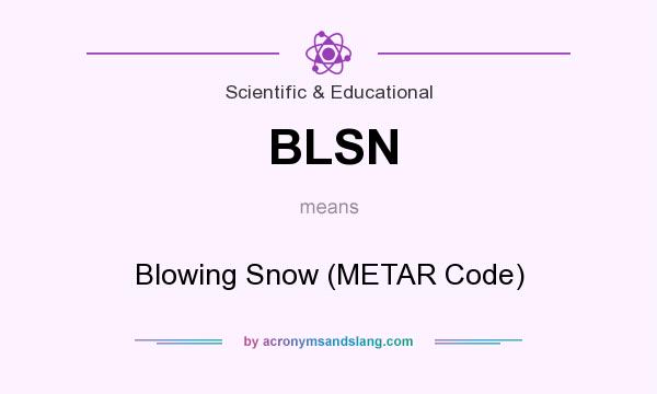 What does BLSN mean? It stands for Blowing Snow (METAR Code)
