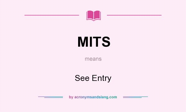 What does MITS mean? It stands for See Entry