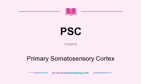 What does PSC mean? It stands for Primary Somatosensory Cortex