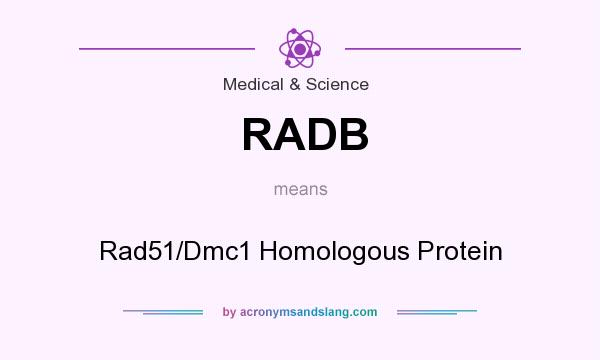 What does RADB mean? It stands for Rad51/Dmc1 Homologous Protein