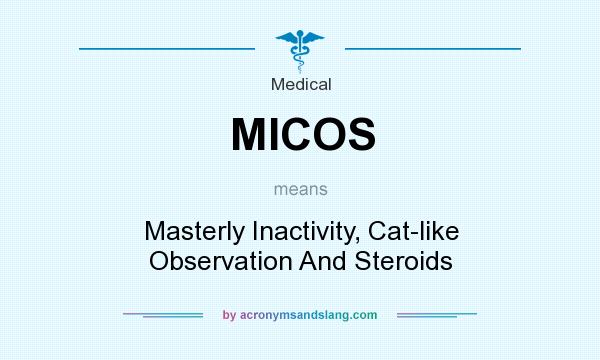 What does MICOS mean? It stands for Masterly Inactivity, Cat-like Observation And Steroids