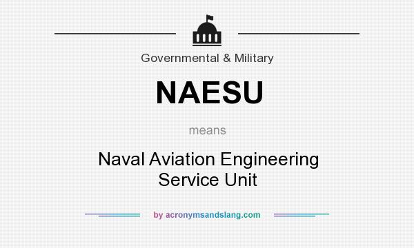 What does NAESU mean? It stands for Naval Aviation Engineering Service Unit