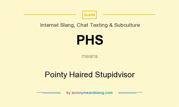 What does PHS mean? It stands for Pointy Haired Stupidvisor
