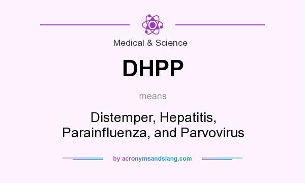 What does DHPP mean? It stands for Distemper, Hepatitis, Parainfluenza, and Parvovirus