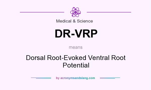 What does DR-VRP mean? It stands for Dorsal Root-Evoked Ventral Root Potential