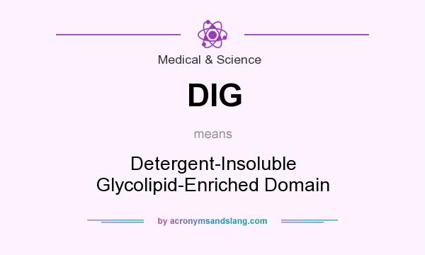What does DIG mean? It stands for Detergent-Insoluble Glycolipid-Enriched Domain