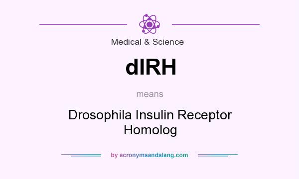 What does dIRH mean? It stands for Drosophila Insulin Receptor Homolog