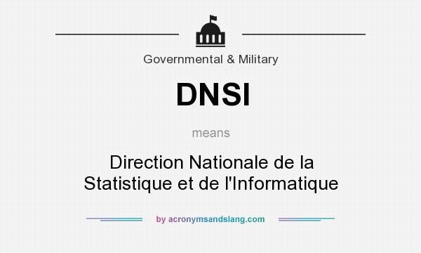 What does DNSI mean? It stands for Direction Nationale de la Statistique et de l`Informatique