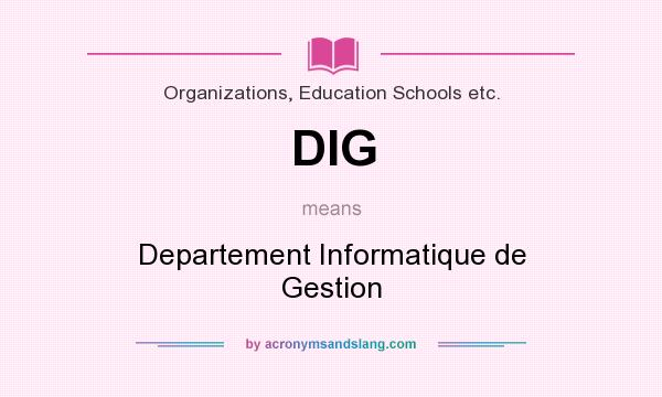 What does DIG mean? It stands for Departement Informatique de Gestion