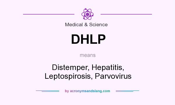 What does DHLP mean? It stands for Distemper, Hepatitis, Leptospirosis, Parvovirus