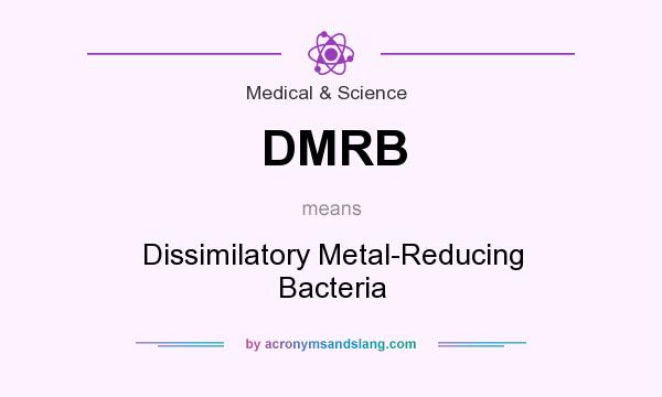 What does DMRB mean? It stands for Dissimilatory Metal-Reducing Bacteria