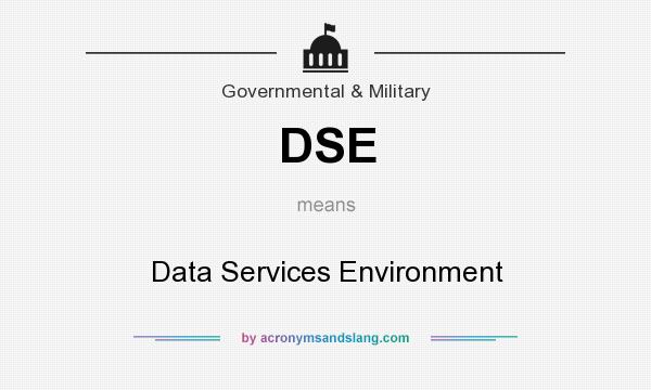 What does DSE mean? It stands for Data Services Environment