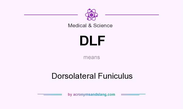 What does DLF mean? It stands for Dorsolateral Funiculus