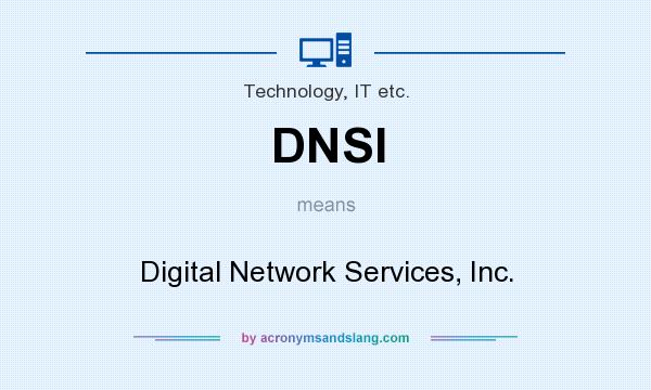 What does DNSI mean? It stands for Digital Network Services, Inc.