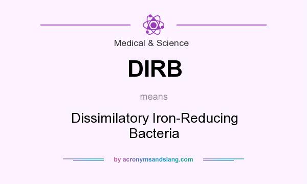 What does DIRB mean? It stands for Dissimilatory Iron-Reducing Bacteria