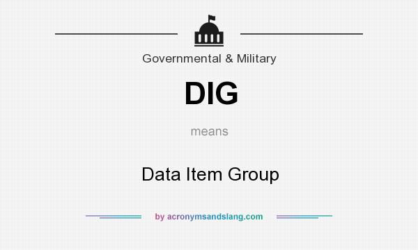 What does DIG mean? It stands for Data Item Group