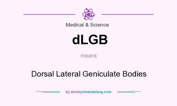 What does dLGB mean? It stands for Dorsal Lateral Geniculate Bodies