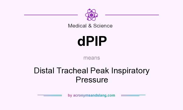 What does dPIP mean? It stands for Distal Tracheal Peak Inspiratory Pressure